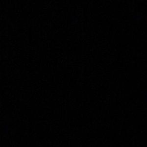 Meet your Posher, Dora